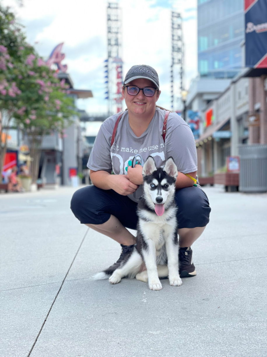puppy board and train