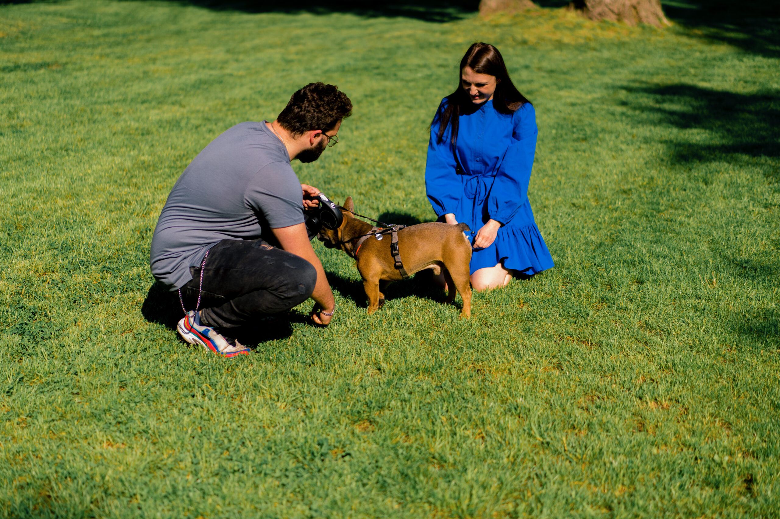 Overwatch K9 Academy Obedience Training