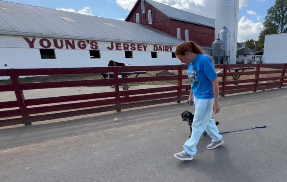 a dog is loose leash walking with a columbus dog trainer